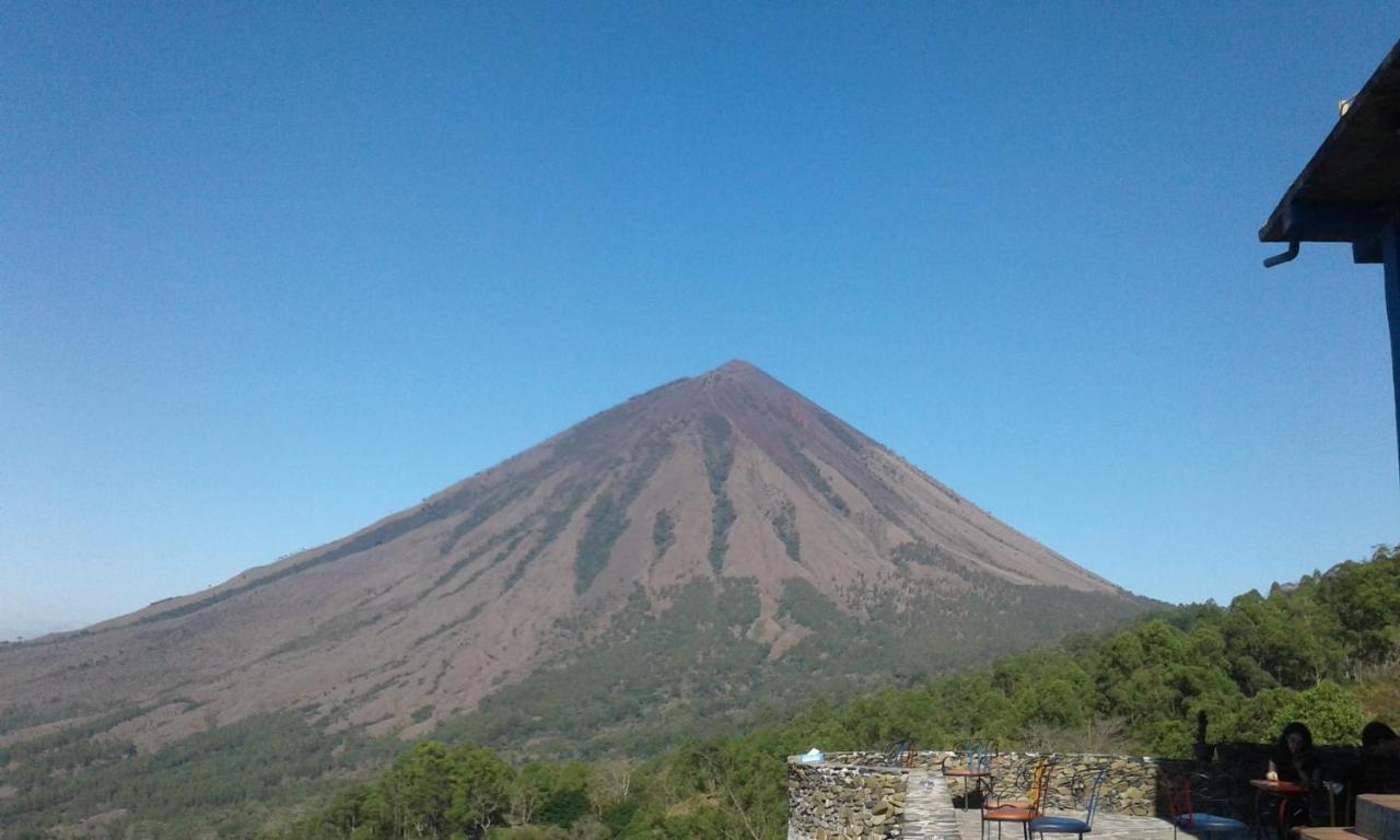 Bajawa Kristian Homestay מראה חיצוני תמונה