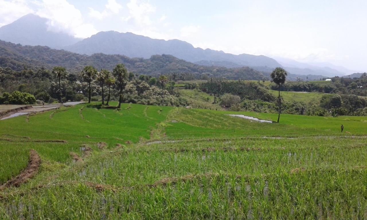 Bajawa Kristian Homestay מראה חיצוני תמונה